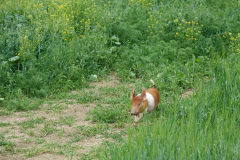 DSC04755